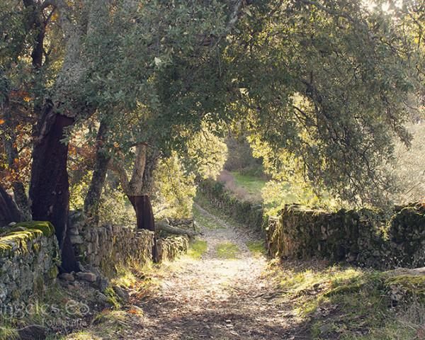 Villa Sierra De Gata Santibanez el Alto 外观 照片